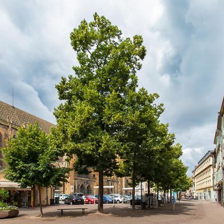 Le Griffon Apartment Colmar Luaran gambar
