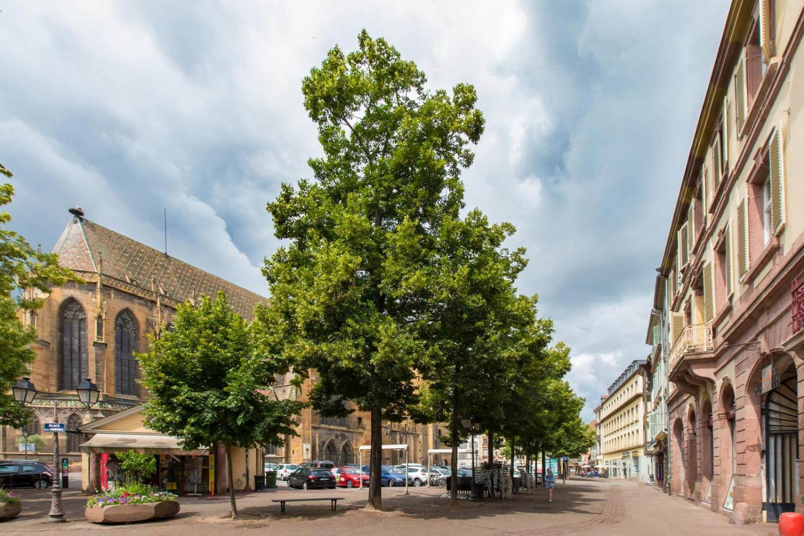 Le Griffon Apartment Colmar Luaran gambar