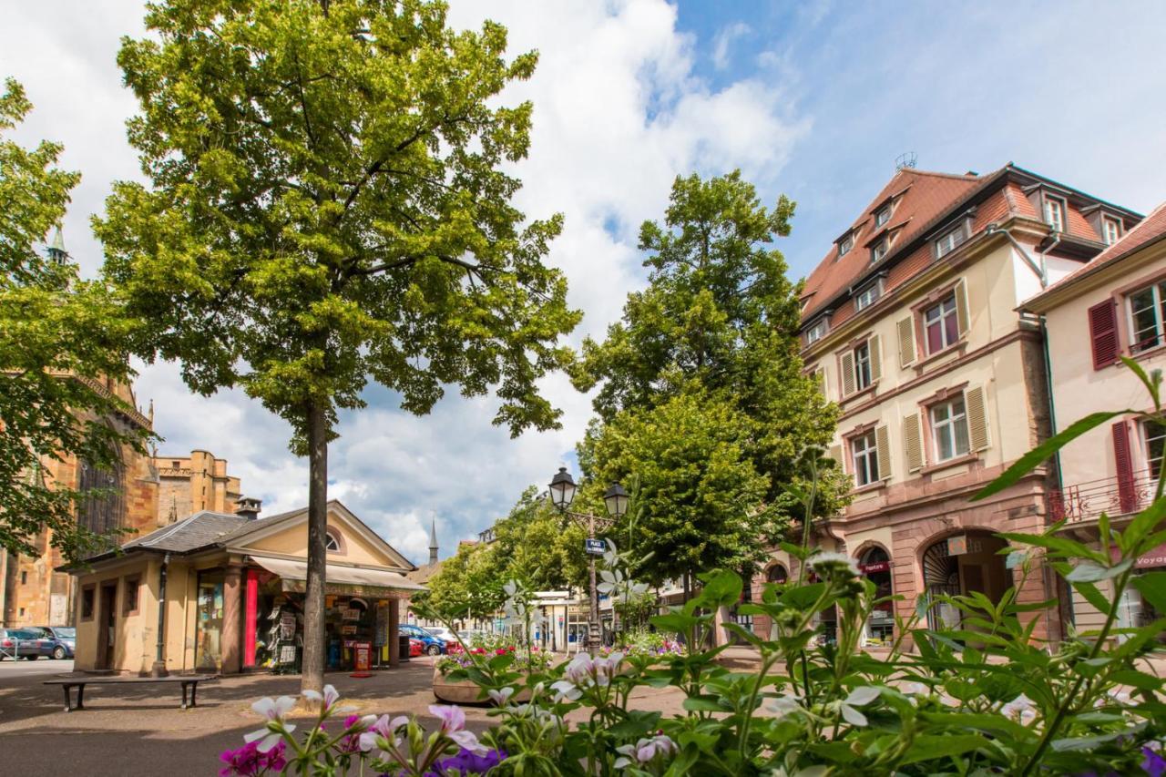 Le Griffon Apartment Colmar Luaran gambar